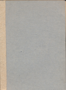 Zulawski Andor: Petőfi-Ady -esszé-