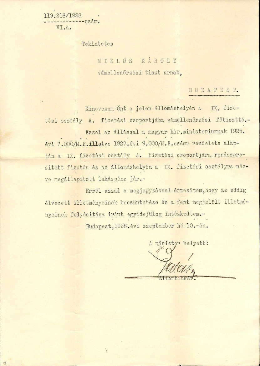 Vámellenőrzési főtiszt kinevezése