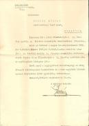 Vámellenőrzési főtiszt kinevezése