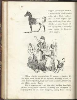 Mokány Berci naptára 1876