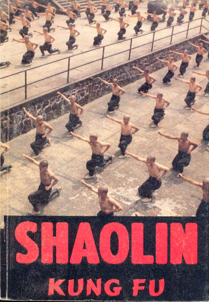 A Shaolin kung-fu