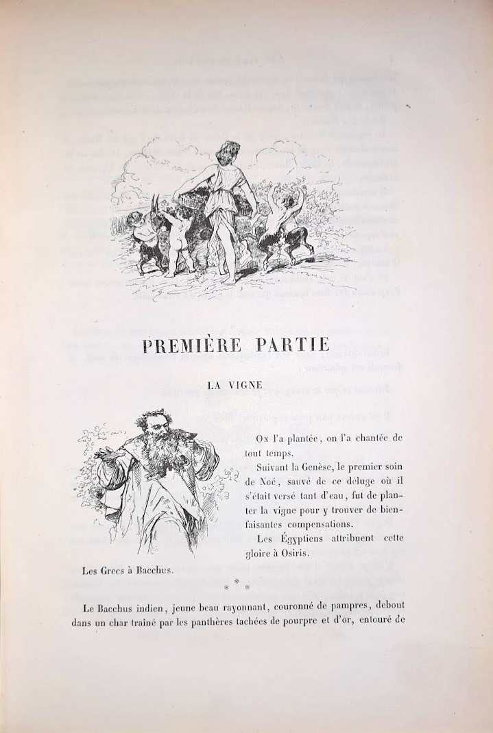 Bertall: La vigne