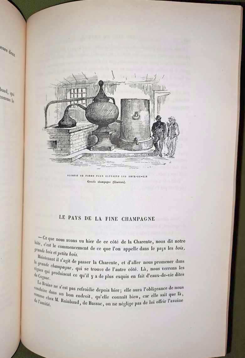 Bertall: La vigne