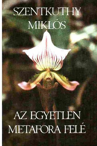 Az egyetlen metafora felé