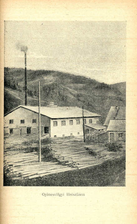 A gyimesvölgyi parasztok felkelése (1934)
