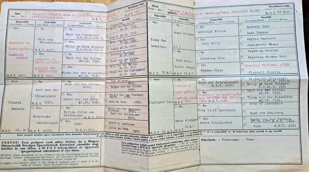 Kutya Származási lap 1934
