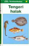 Tengeri halak