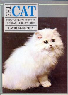 The cat