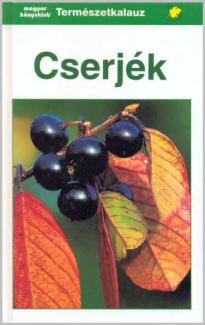 Gunter Steinbach: Cserjék