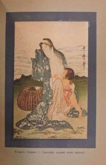 Tóth Ervin: A japán fametszet