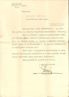 Vámellenőrzési főtiszt kinevezése