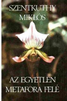 Az egyetlen metafora felé