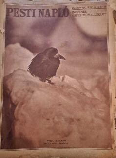 Pesti Napló Képes Műmelléklet 1928