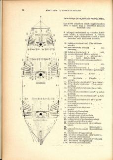 Tenger1918