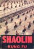 A Shaolin kung-fu