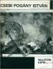 Csebi Pogány István